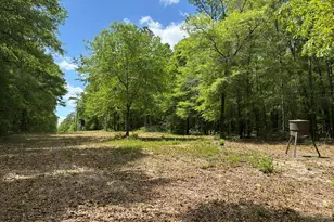 Parcel H County Road 20 / New Ebenezer Rd, Florala, AL 36442 - Photo 31