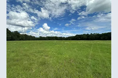 Parcel H County Road 20 / New Ebenezer Road, Florala, AL 36442 - Photo 13