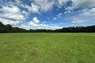 Parcel H County Road 20 / New Ebenezer Rd, Florala, AL 36442 - Photo 13