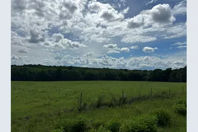 Parcel H County Road 20 / New Ebenezer Road, Florala, AL 36442 - Photo 15