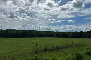 Parcel H County Road 20 / New Ebenezer Rd, Florala, AL 36442 - Photo 15