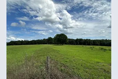Parcel H County Road 20 / New Ebenezer Road, Florala, AL 36442 - Photo 7