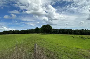 Parcel H County Road 20 / New Ebenezer Rd, Florala, AL 36442 - Photo 7