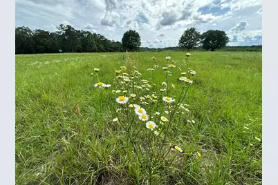 Parcel H County Road 20 / New Ebenezer Road, Florala, AL 36442 - Photo 11