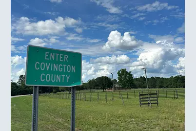 Parcel H County Road 20 / New Ebenezer Road, Florala, AL 36442 - Photo 17