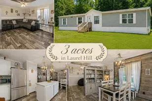 3984 1st Ave, Laurel Hill, FL 32567 - Photo 1
