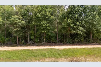 0 Homestead Road, Baker, FL 32531 - Photo 21