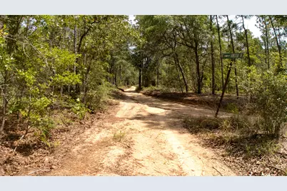 0 Homestead Road, Baker, FL 32531 - Photo 25