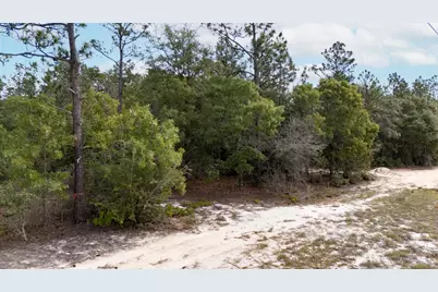 0 Homestead Road, Baker, FL 32531 - Photo 19