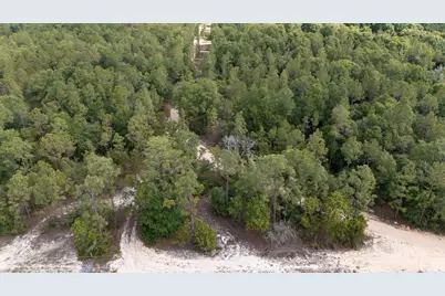 0 Homestead Road, Baker, FL 32531 - Photo 5
