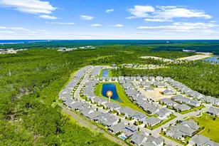 140 Suwannee Dr, Inlet Beach, FL 32461 - Photo 41