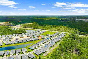 140 Suwannee Dr, Inlet Beach, FL 32461 - Photo 43