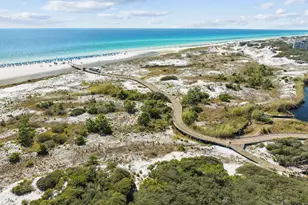 230 Salt Box Ln, Inlet Beach, FL 32461 - Photo 33