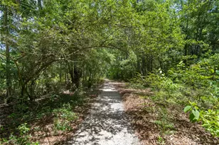 370 Mango Ln, Freeport, FL 32439 - Photo 65