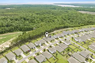 324 This Way, Freeport, FL 32439 - Photo 41