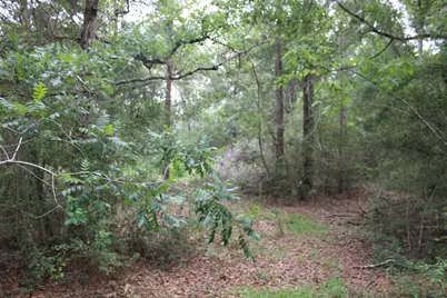 Tbd Simpson, Defuniak Springs, FL 32433 - Photo 5