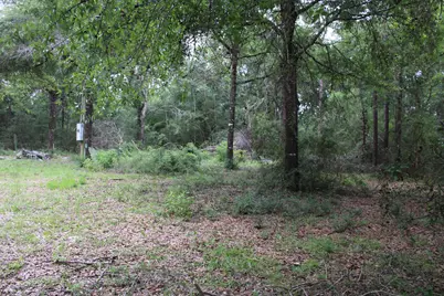 Tbd Simpson, Defuniak Springs, FL 32433 - Photo 3