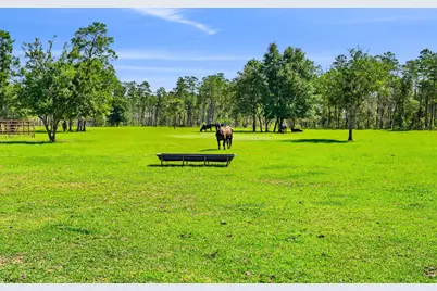 2601 Florida 20, Southport, FL 32409 - Photo 129