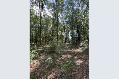 Lot 43 Seacoast Way, Defuniak Springs, FL 32433 - Photo 25
