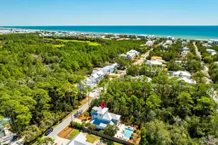 349 Seacrest Dr, Inlet Beach, FL 32461 - Photo 57