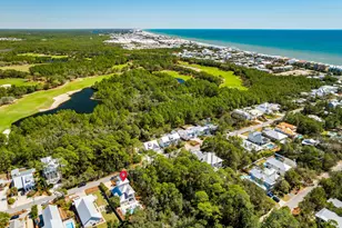 349 Seacrest Dr, Inlet Beach, FL 32461 - Photo 55
