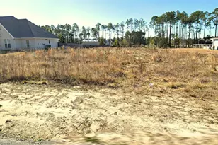 440 Skunk Valley Rd, Southport, FL 32409 - Photo 1