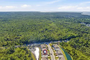 64 Crossing Ln, Santa Rosa Beach, FL 32459 - Photo 41