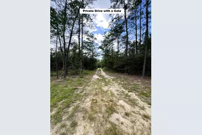 1622 Watson Road, Defuniak Springs, FL 32433 - Photo 31