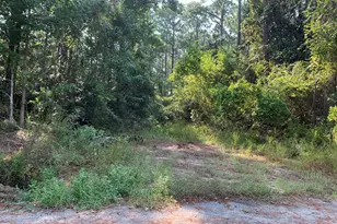 85 Central 7th St, Santa Rosa Beach, FL 32459 - Photo 1