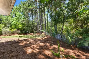131 White Heron Dr, Santa Rosa Beach, FL 32459 - Photo 25