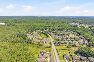 19 Buddy Ln, Santa Rosa Beach, FL 32459 - Photo 67
