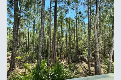 160 Marlberry Trace, Santa Rosa Beach, FL 32459 - Photo 35
