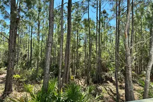 160 Marlberry Trce, Santa Rosa Beach, FL 32459 - Photo 35