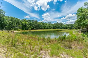 6199 Lake Ella Rd, Crestview, FL 32539 - Photo 47