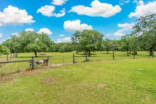 652 Tommy Eiland Rd, Baker, FL 32531 - Photo 85