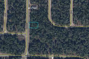 Lot 5 Pinehurst Ave, Chipley, FL 32428 - Photo 1