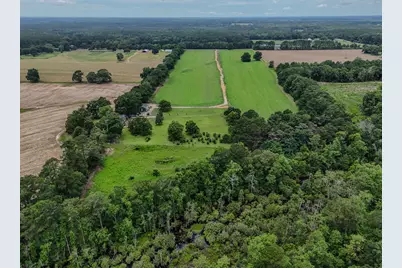 8116 Highway 393 Highway, Laurel Hill, FL 32567 - Photo 13