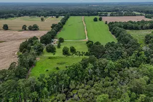 8116 Hwy 393 Hwy, Laurel Hill, FL 32567 - Photo 13