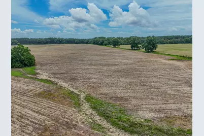 8116 Highway 393 Highway, Laurel Hill, FL 32567 - Photo 17