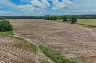 8116 Hwy 393 Hwy, Laurel Hill, FL 32567 - Photo 17