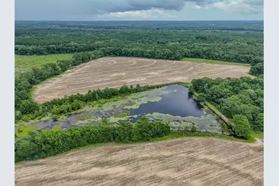 8116 Highway 393 Highway, Laurel Hill, FL 32567 - Photo 5