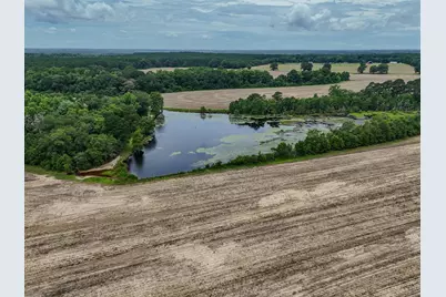 8116 Highway 393 Highway, Laurel Hill, FL 32567 - Photo 9