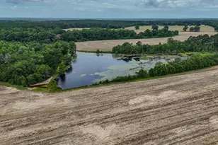 8116 Hwy 393 Hwy, Laurel Hill, FL 32567 - Photo 9