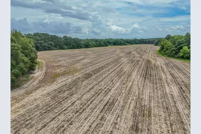 8116 Highway 393 Highway, Laurel Hill, FL 32567 - Photo 21
