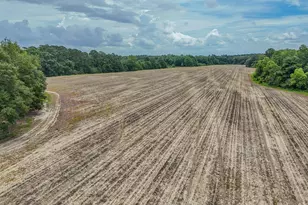 8116 Hwy 393 Hwy, Laurel Hill, FL 32567 - Photo 21
