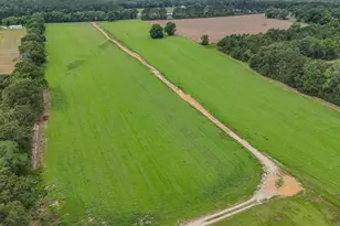 8116 Hwy 393 Hwy, Laurel Hill, FL 32567 - Photo 11