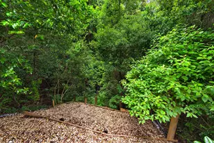 320 Branch Hill Park, Niceville, FL 32578 - Photo 51