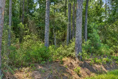 1.19 Acres Mary Kitchens Road, Milton, FL 32583 - Photo 9