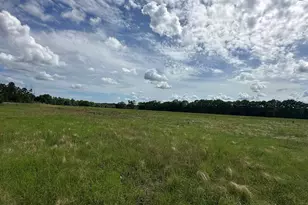 G & H County Road 20 / New Ebenezer Rd, Florala, AL 36442 - Photo 31
