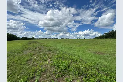G & H County Road 20 / New Ebenezer Road, Florala, AL 36442 - Photo 21